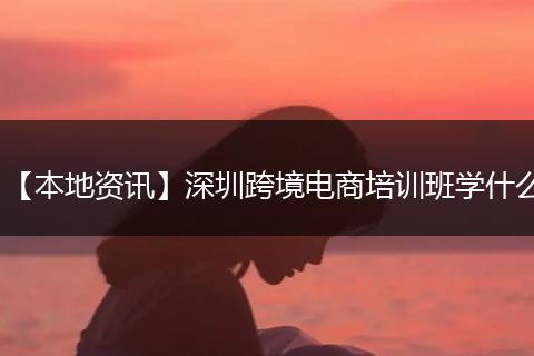 【本地资讯】深圳跨境电商培训班学什么
